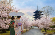 京都（洛南エリア）でやるべき10のこと